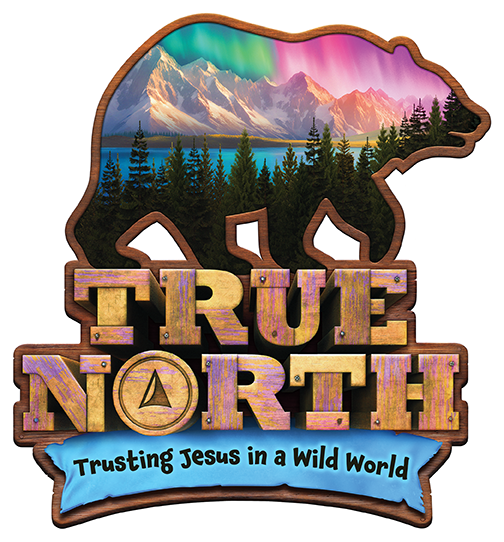 true-north-logo-LoRes-RGB